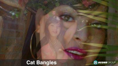 Bikini Cat Bangles - hotmovs.com